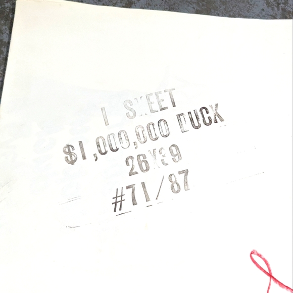 Vintage Rare 1971 Original Walt Disney $1,000,000 Golden Duck Movie Promo Poster - Picture 8 of 9